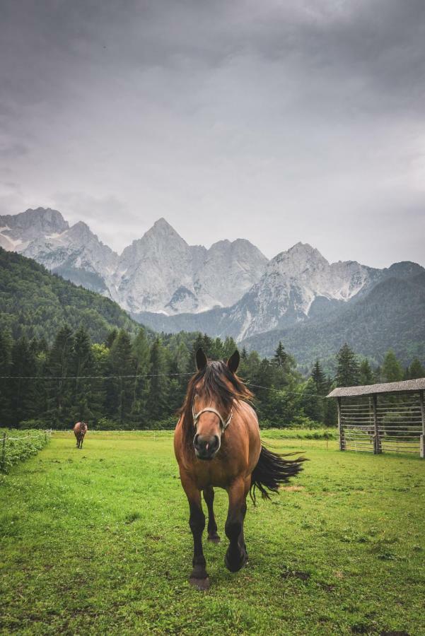 Klass 210 Kranjska Gora Exteriör bild